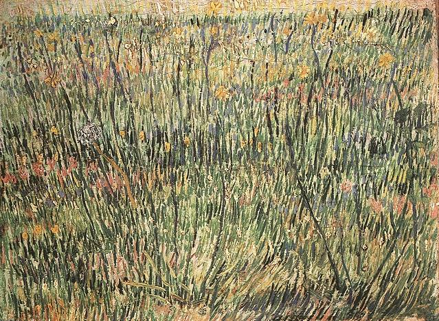 Pasture in Bloom