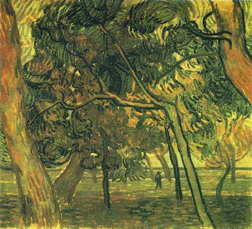 Study of Pine Trees 