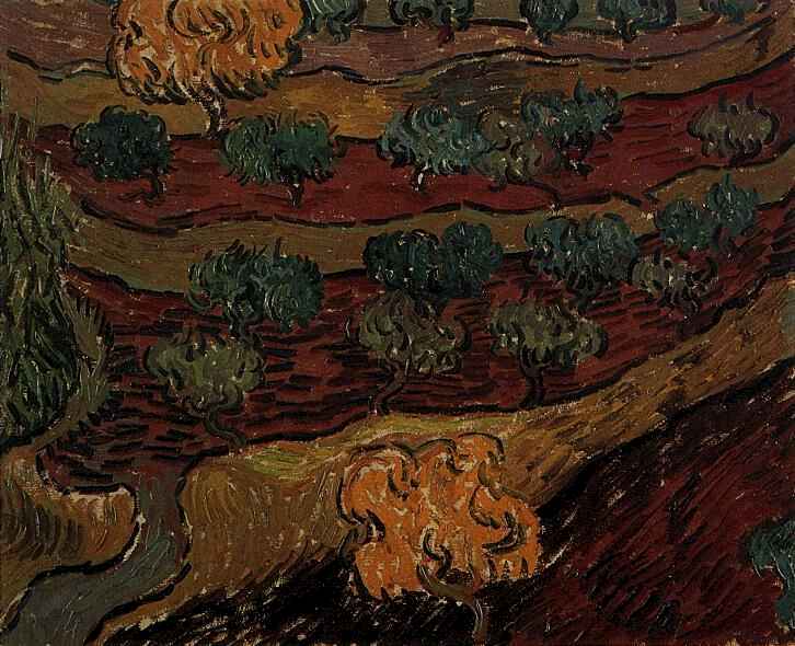 Olive Trees against a Slope of a Hill 