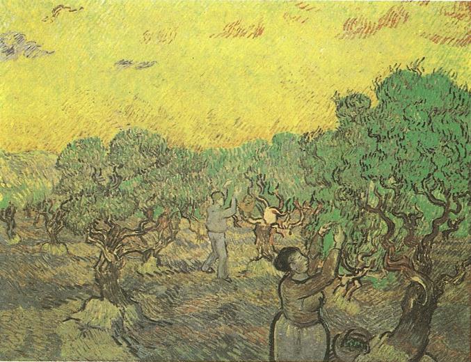 Olive Grove with Picking Figures 