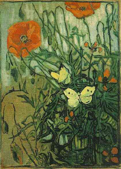 Poppies and Butterflies 