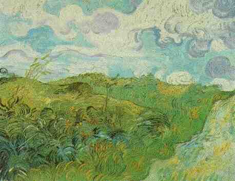 Green Wheat Fields 