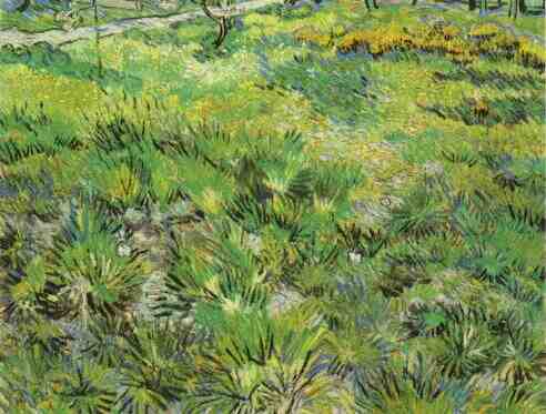 Meadow in the Garden of Saint-Paul Hospital 