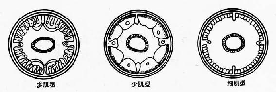 ߳ļ