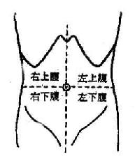 腹部体表分区示意图(四区法)