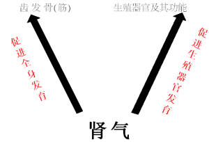 ʢ˥ʶŮԼ