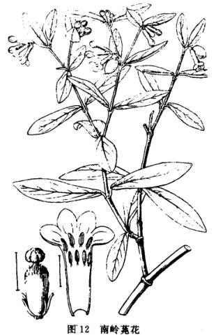 ˸
